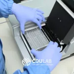 uji endotoksin kuantitatif terakreditasi cdulab
